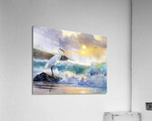 The Egret And The Rough Sea  Acrylic Print