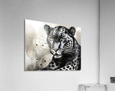Perfect Panther  Acrylic Print