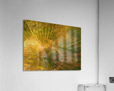 Palm Burst Rays  Acrylic Print