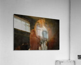 Basset Hound Portrait  Acrylic Print