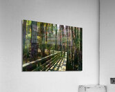 Wooden Walk Into Fall  Acrylic Print