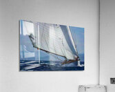 Sailing With The Wind  Acrylic Print
