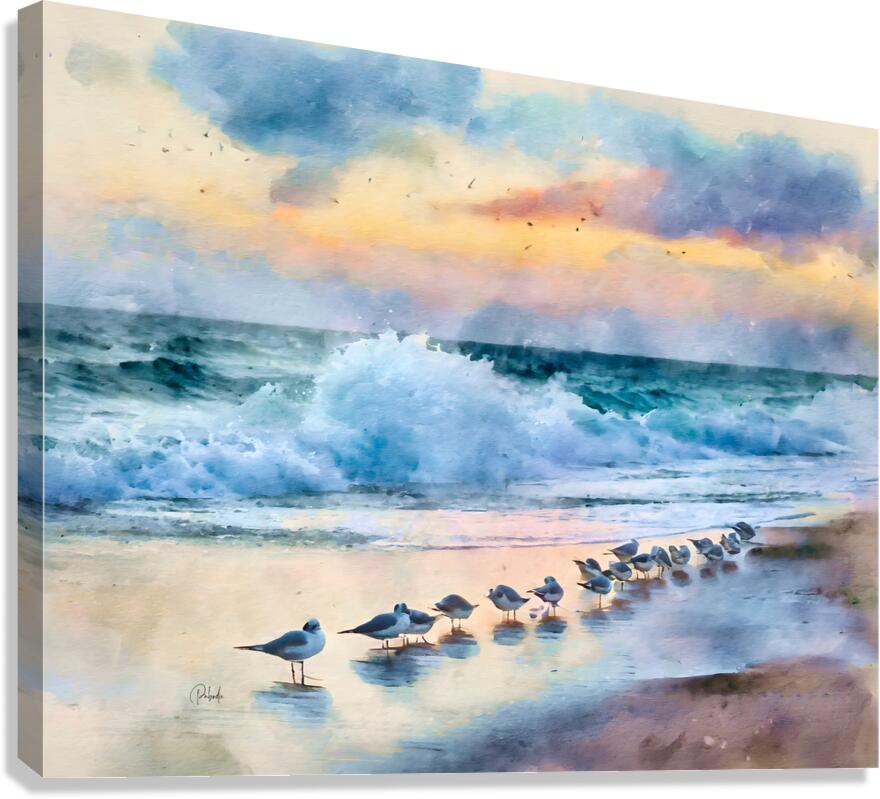 Sanderlings Along The Shore  Canvas Print