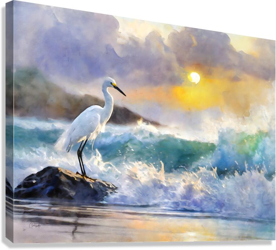 The Egret And The Rough Sea  Canvas Print