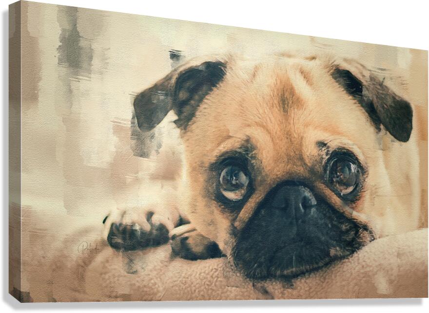 Pug Puppy Portrait  Canvas Print