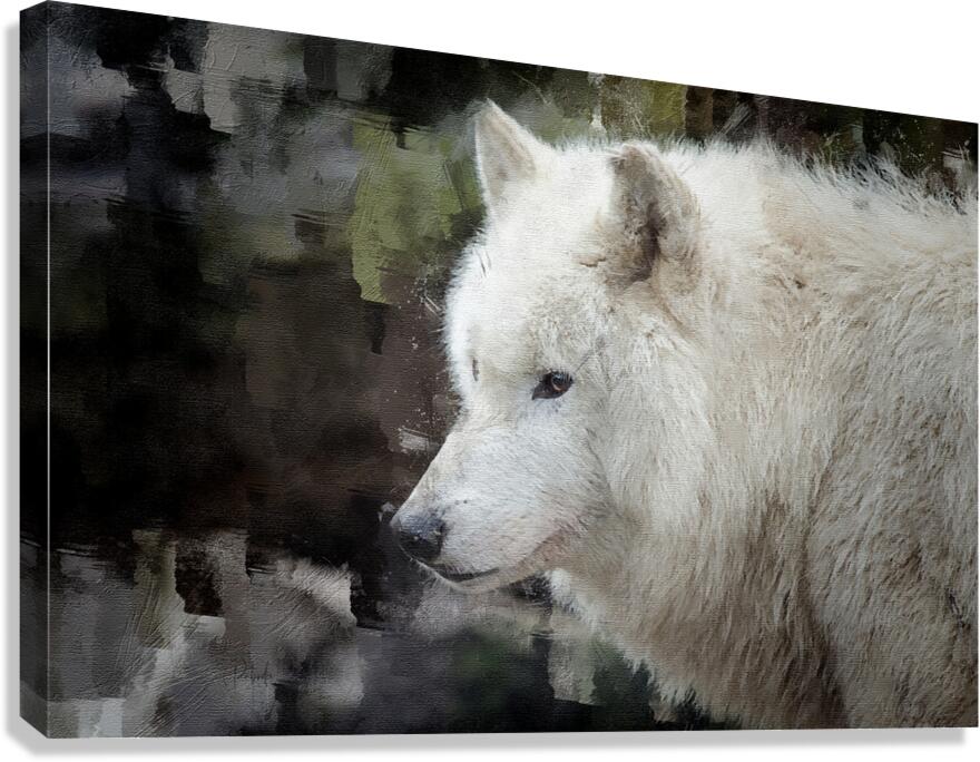 The White Wolf  Canvas Print