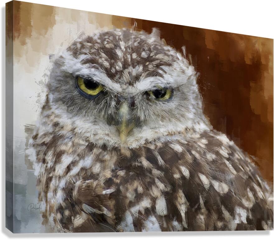 Burrowing Owl Portrait  Canvas Print