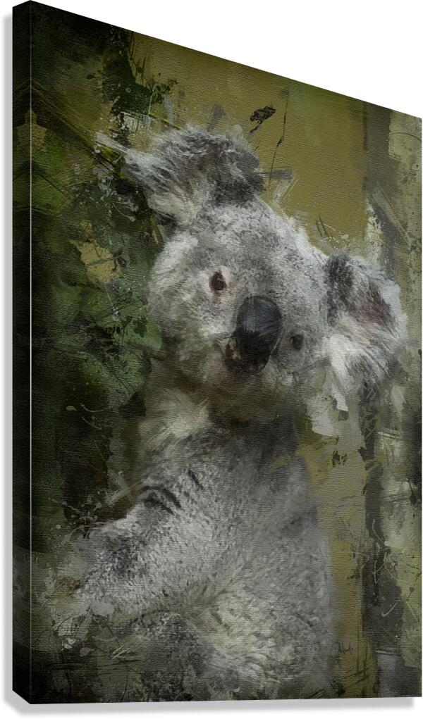 Climbing Koala  Canvas Print