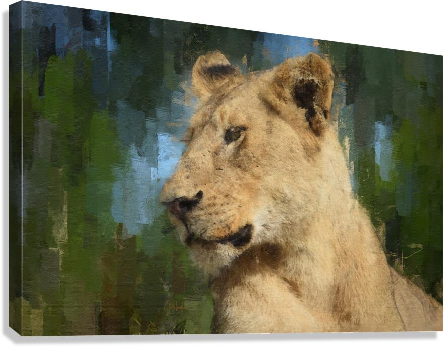 The Kings Mate and Lioness Portrait  Canvas Print