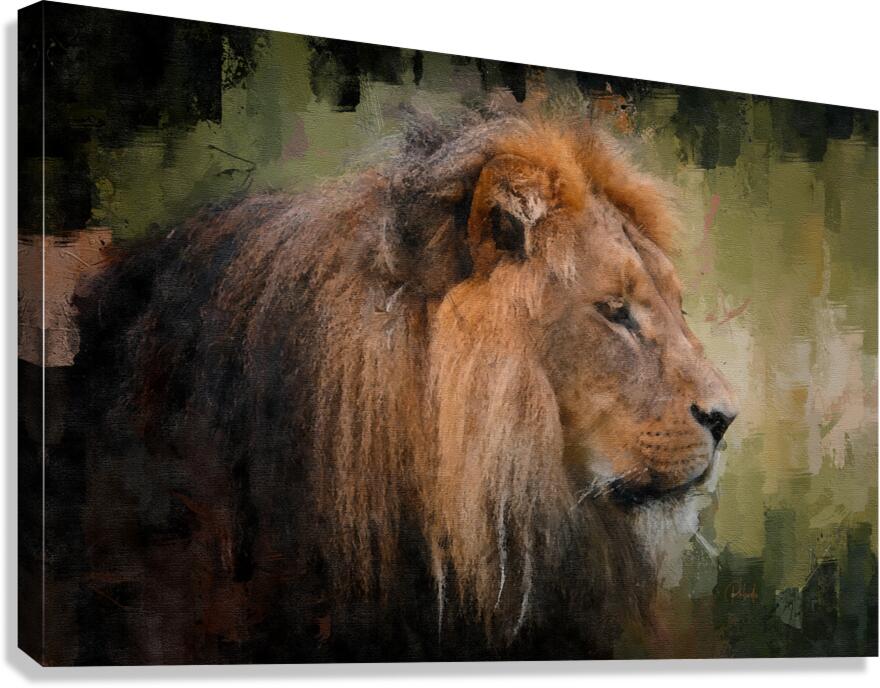 The Lion The King  Canvas Print