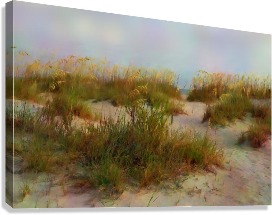 Florida Sand and Sea Oats  Canvas Print