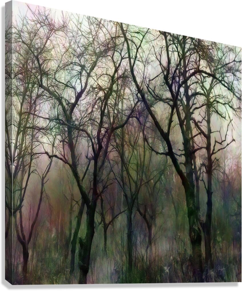 Finding Winter Colors  Canvas Print