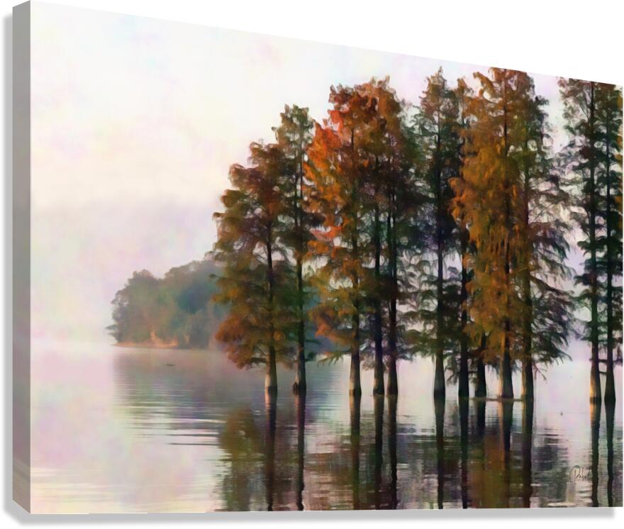 Cypress Trees On The Water  Canvas Print