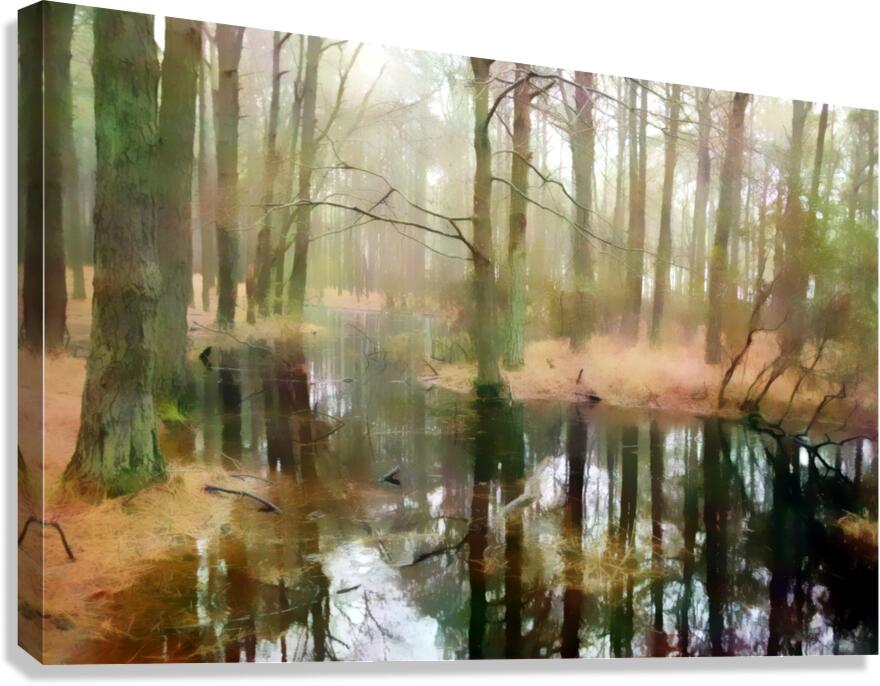 Meandering Backwater Swampy Reflections  Canvas Print