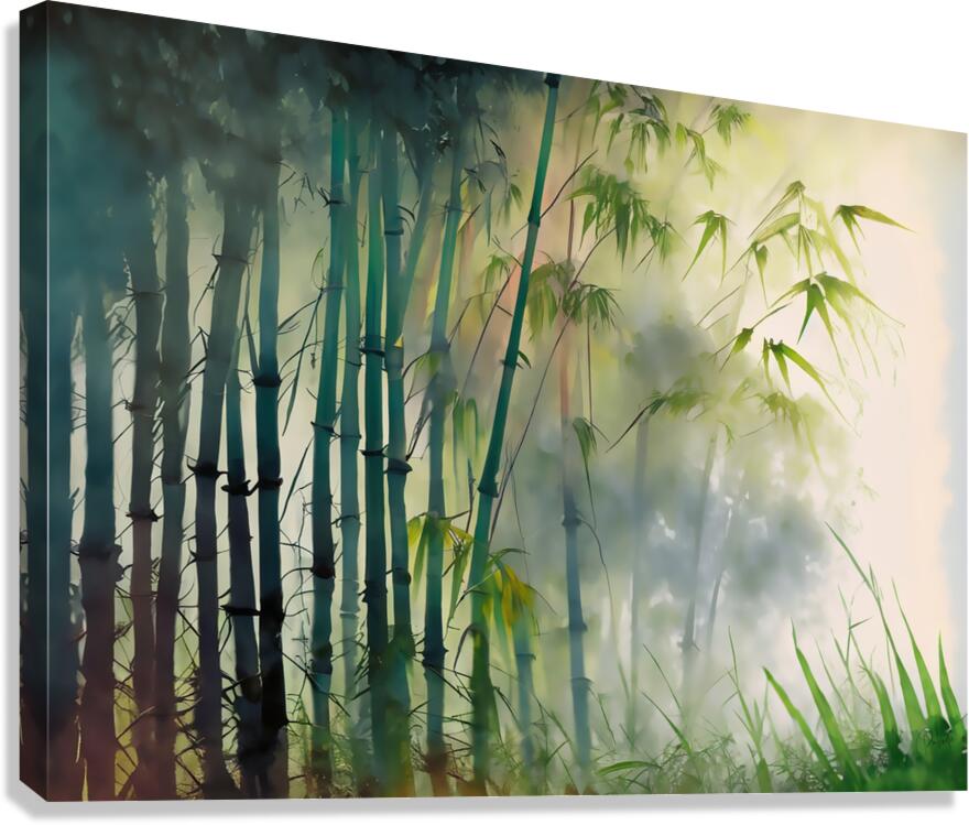 Bamboo Trees in the Fog  Canvas Print