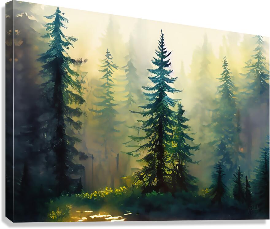 Fir Tree Forest  Canvas Print