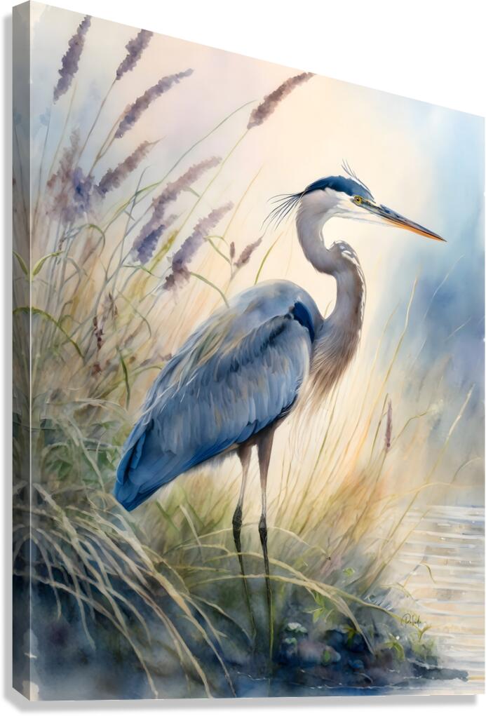 Blue Heron In The Seagrasses  Canvas Print