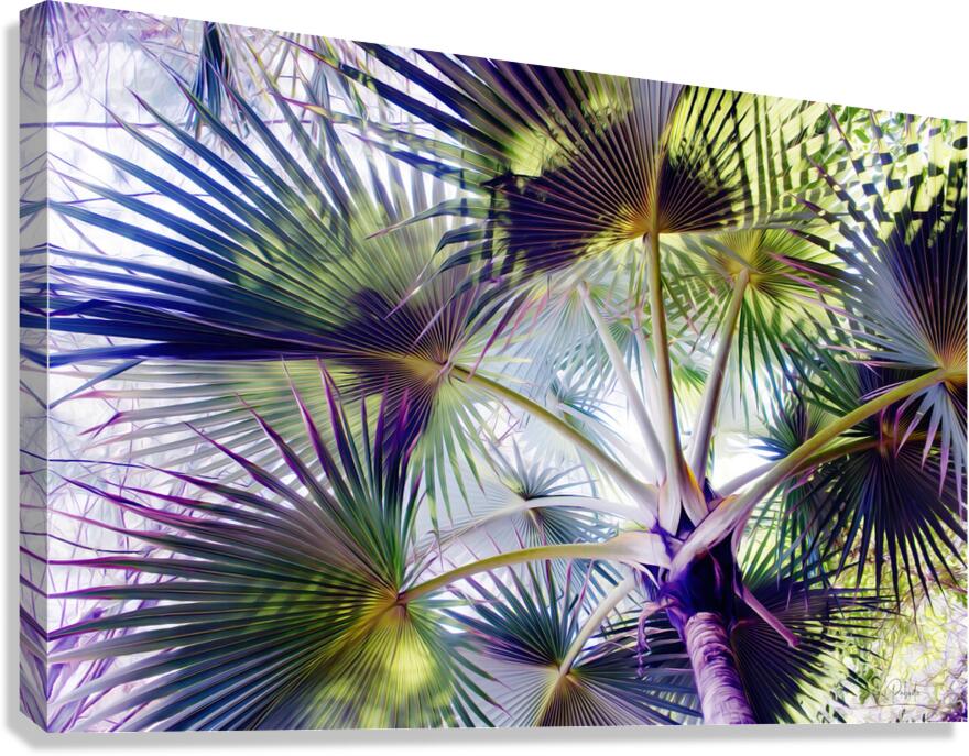Glorious Palms  Canvas Print