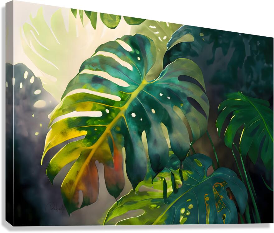 Philodendron Fronds II  Canvas Print