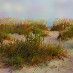 Florida Sand and Sea Oats