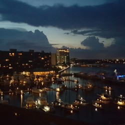 NIght Lights At The Marina