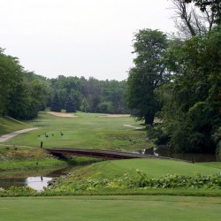 Of Geese and Golf at Sawmill Creek