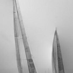 Tall Sails and Busy Waters