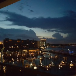 Night Lights at the Marina
