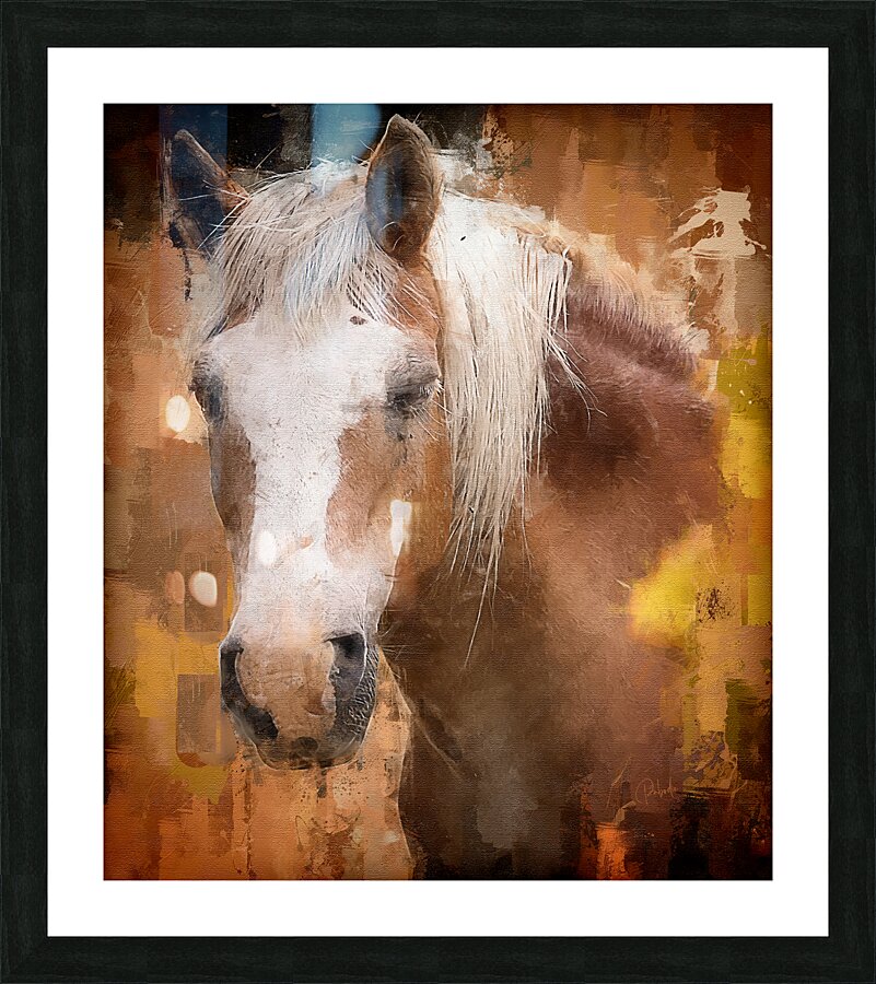 Beautiful Palomino Horse  Framed Print Print
