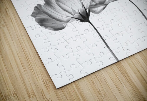 Delicate Cosmos in Black and White Pabodie Art puzzle