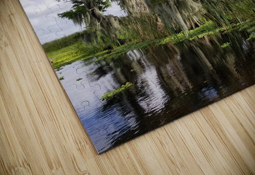 Florida Bald Cypress Trees Pabodie Art puzzle