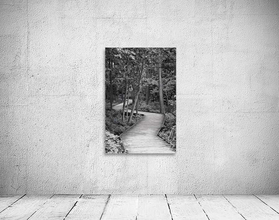 The Wooden Path by Pabodie Art