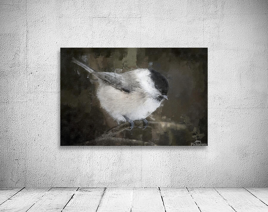 Willow Tit Bird by Pabodie Art