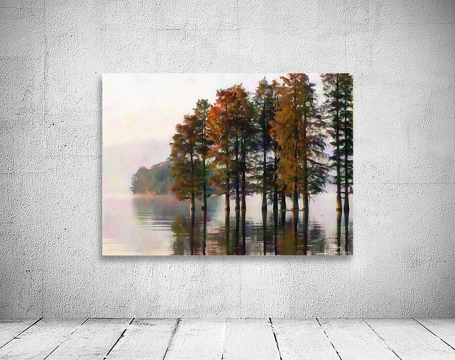 Cypress Trees On The Water by Pabodie Art