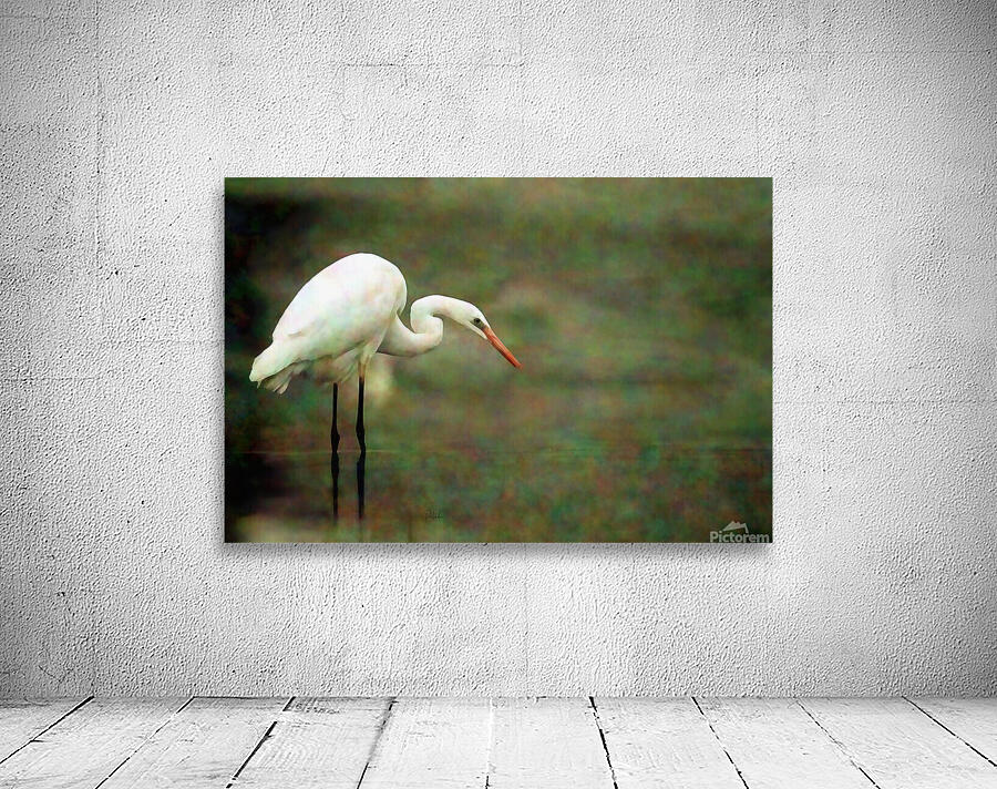 Egret by Pabodie Art