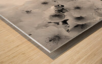 Delicate Cherry Blossoms Wood print