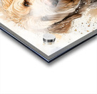 Oscar Boy I Acrylic print