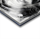 A Face of Wisdom Acrylic print