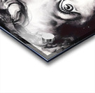 Gazing In Wonder Acrylic print