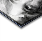 Sharene Acrylic print