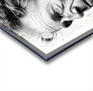 The Novelist Impression Acrylique