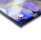 Dancing Viola Watercolor Acrylic print