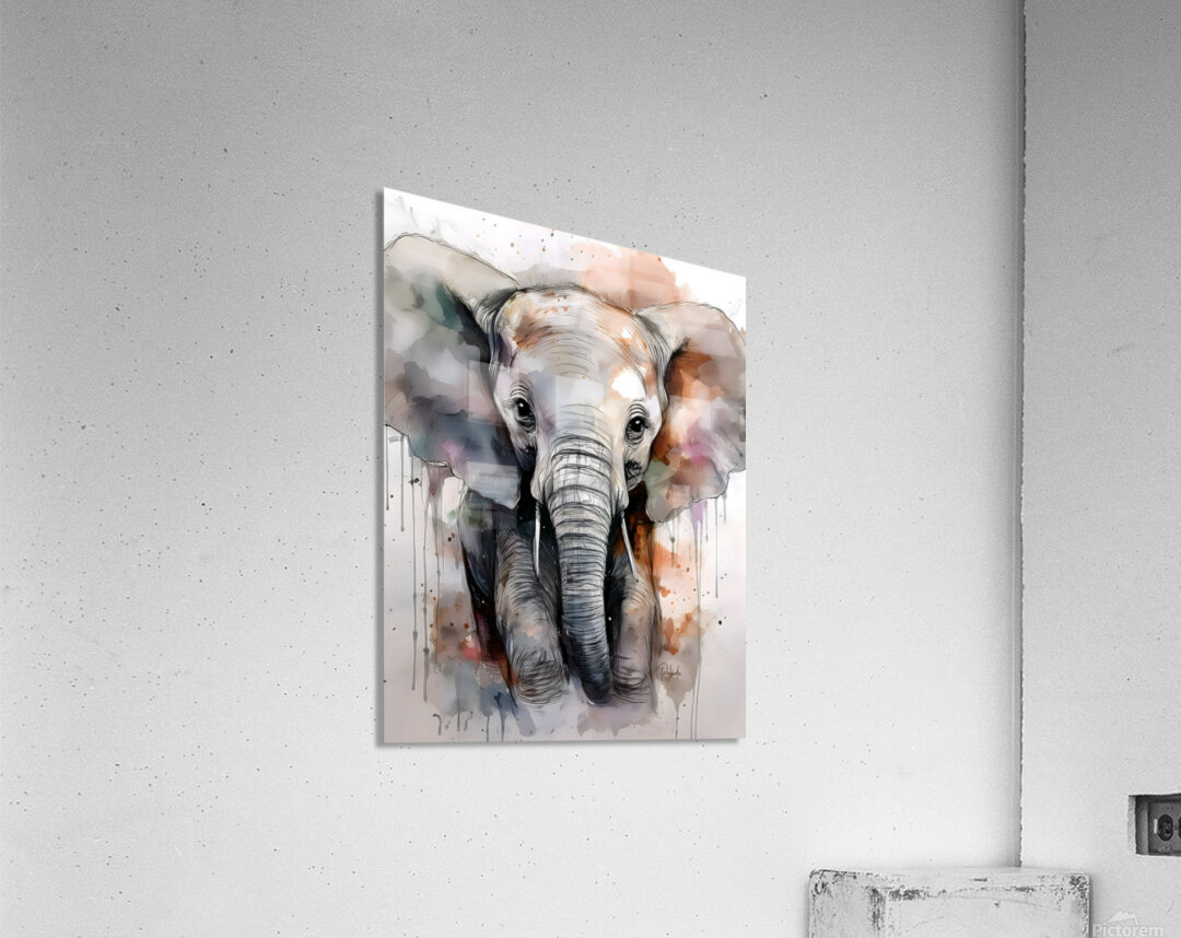 Baby Elephant Inkwash Acrylic Print