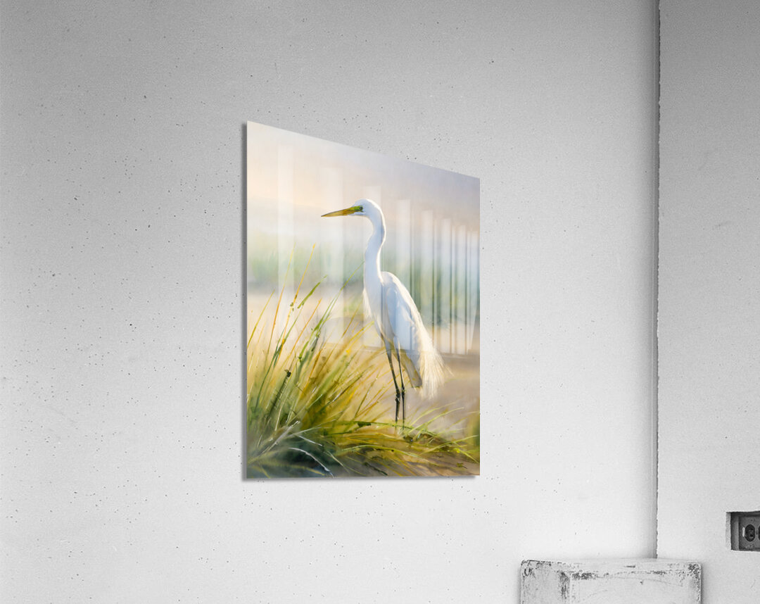 Egret By The Sea  Acrylic Print 