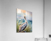 Pelican Shores  Impression acrylique
