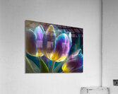 Golden Lit Tulips  Impression acrylique