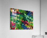Tropical Leaves IV  Acrylic Print