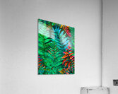 Tropical Leaves I  Acrylic Print