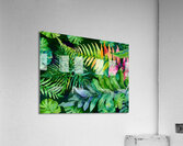 Tropical Leaves III  Impression acrylique