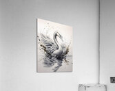 The Swan Ink Wash  Acrylic Print